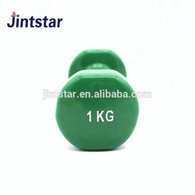 Jintstar colorful vinyl 10kg gym dumbbell set price